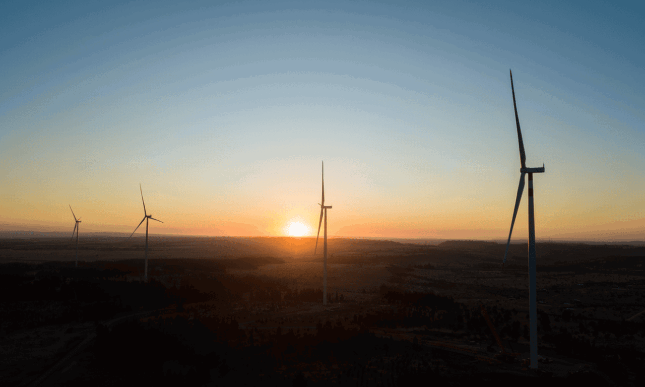 Atardecer en planta eólica