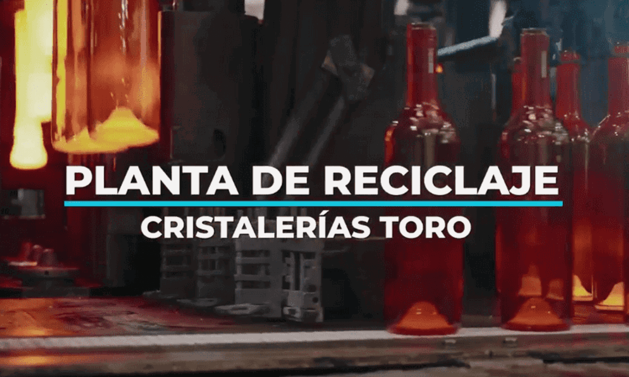 extracto de video de visita a cristalerías toro