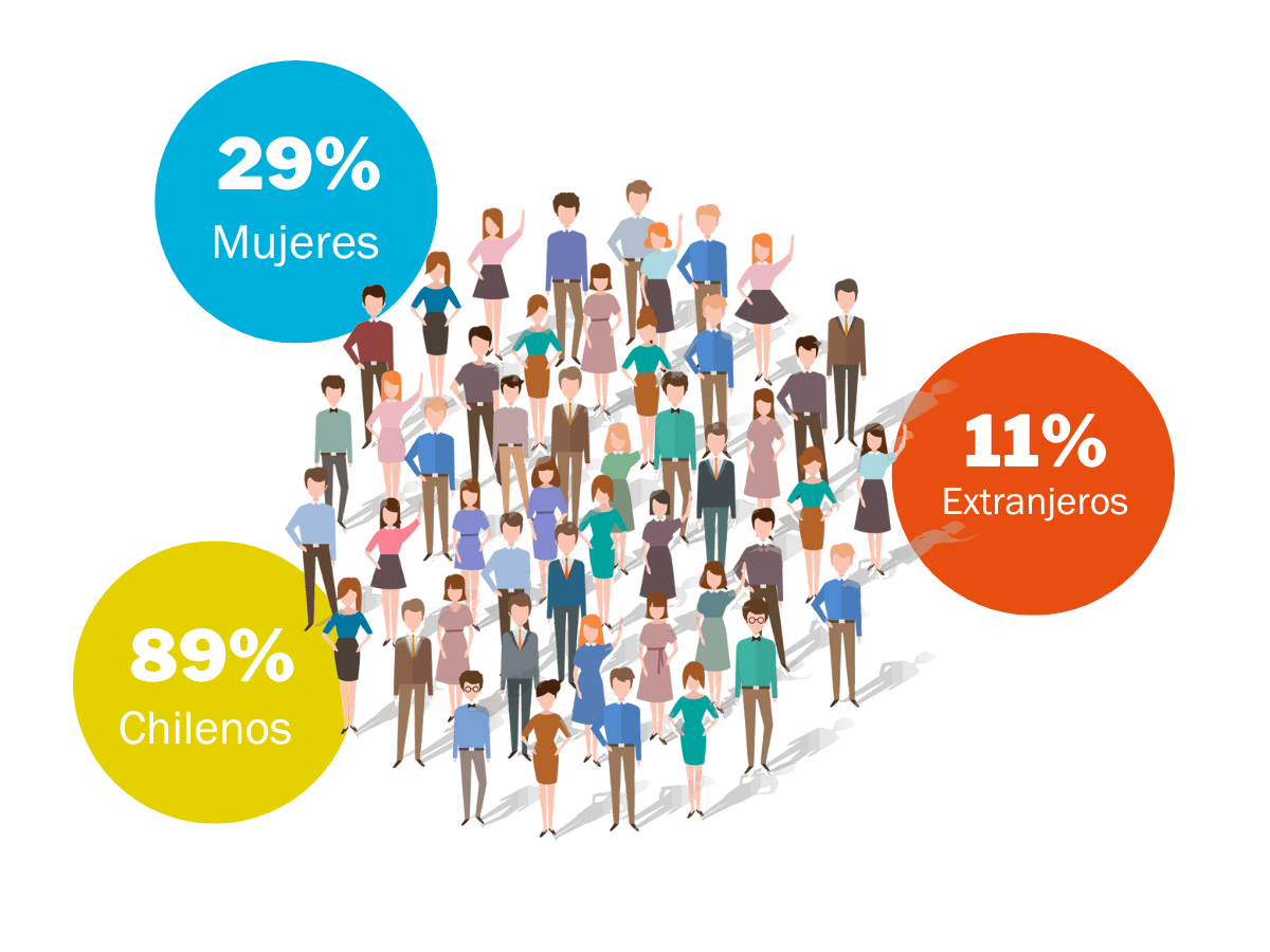 infograf&iacute;a con los porcentajes de diversidad en Chile