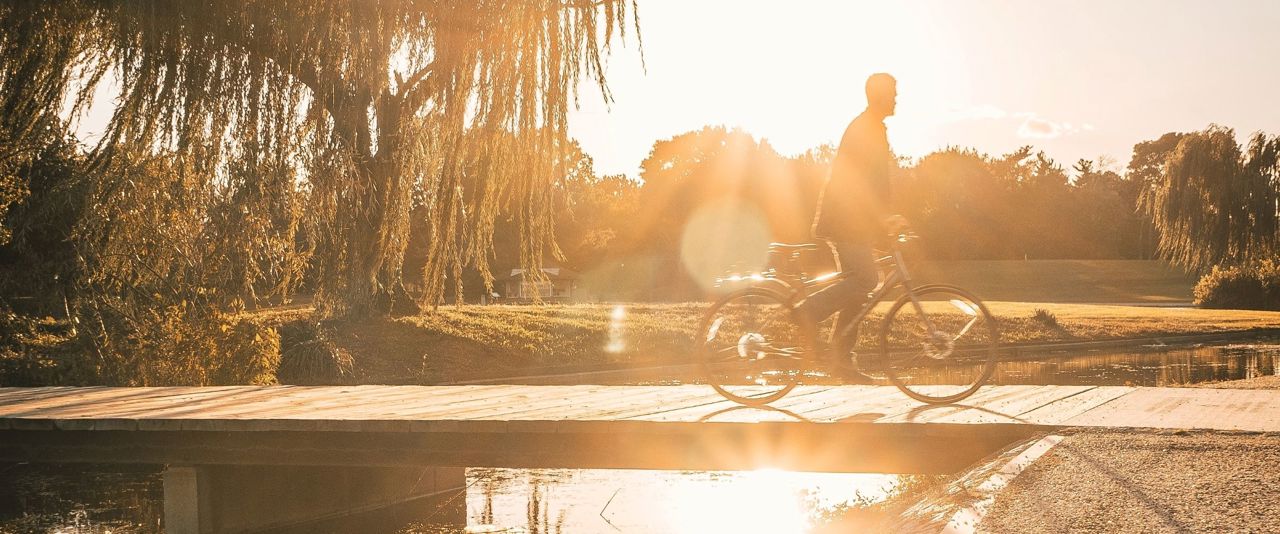 Man riding his bike  among the trees